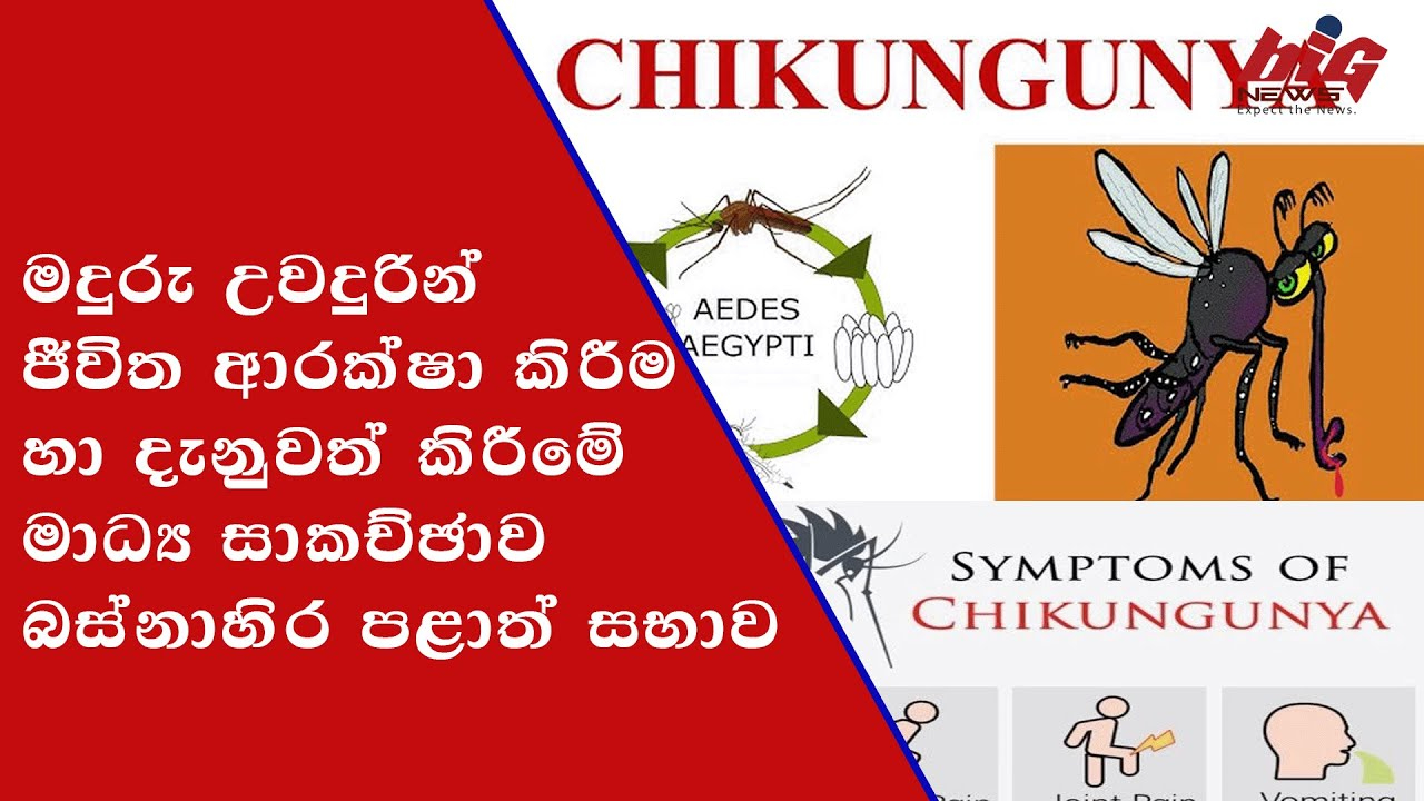 මදුරු උවදුරින් ජීවිත ආරක්ෂා කිරීම හා දැනුවත් කිරීමේ මාධ්‍ය සාකච්ඡාව බස්නාහිර පළාත් සභාව