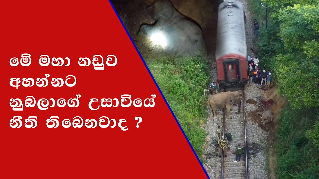 රේල්පිලි මත අප මරාදමා මිනිසුනේ නුබලා මෙතරම් සැහැසි උනේ කෙලෙසද ?